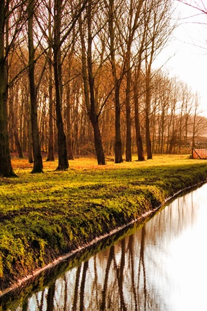 Photo of autumn tries and riverの写真素材