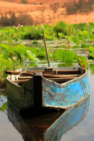 Photo of lotus lake with a boatの写真素材