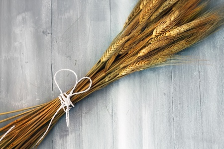 Photo of wheat on wooden backgroundの写真素材