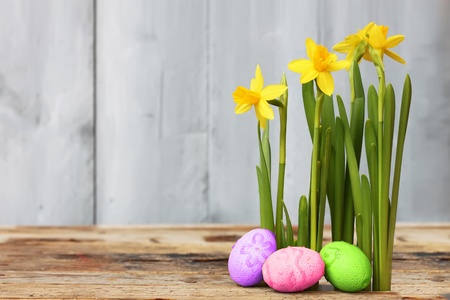 Cute photo with easter eggs and daffodils 