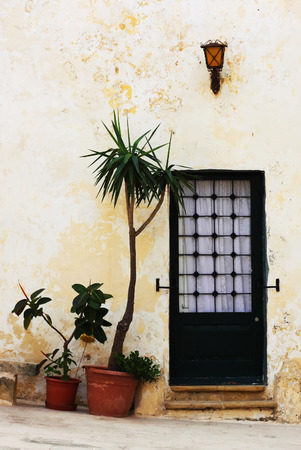 facade of old house with green door and palmの写真素材