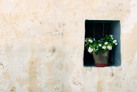 facade oh old house with window and flowersの写真素材