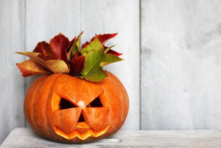 Halloween pumpkinの写真素材