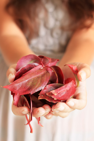 Photo of girl holding red leavesの写真素材