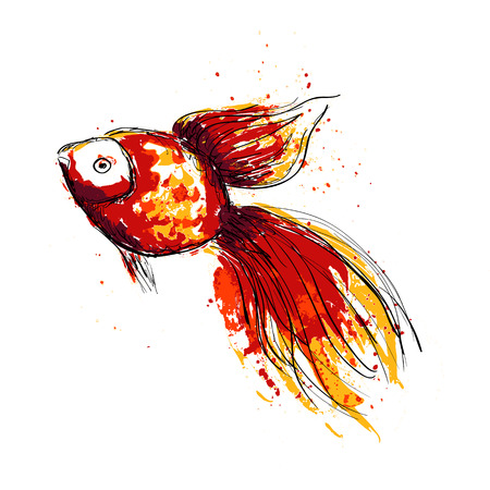 hand drawn gold fishのイラスト素材