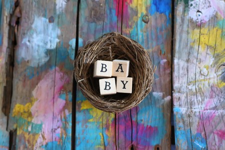 Photo of wooden blocks with  word Babyの写真素材
