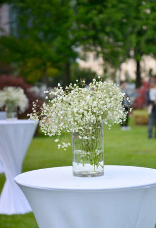 white flowers on tableの写真素材