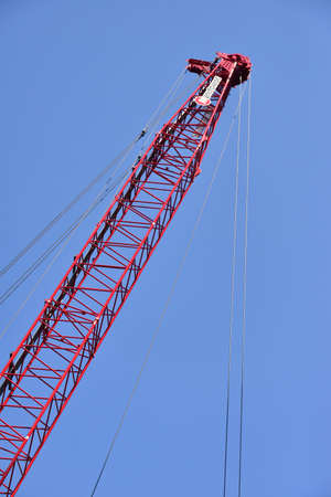 Red craneのeditorial素材