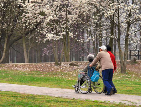 the elderly walking at gardenのeditorial素材