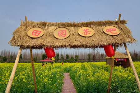 Garden tea barのeditorial素材