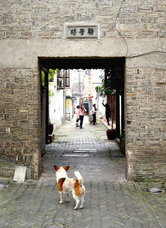 Ancient town dwellings in Suzhouのeditorial素材