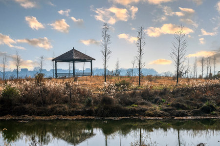 Wooden gazebo on the bank of the river.の写真素材