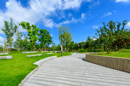 Walkway in the park with green grass and blue sky background.の写真素材
