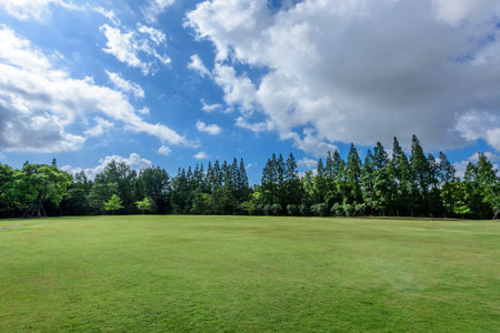 Green grass field with blue sky and white clouds in the park.