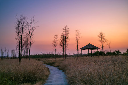 Sunset in the prairie, with a beautiful gazebo