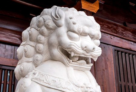 Stone lion statue in Hida-ji Temple, Kyoto, Japan.のeditorial素材