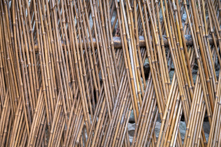 bamboo fence background and texture, close-up of bamboo fence