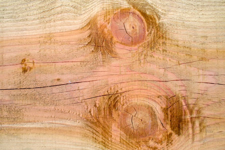 Old wood background or texture. Lining boards wall. Wooden pattern. Showing growth rings