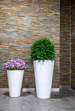 Beautiful flowers in flowerpot on brick wall background, stock photoの写真素材