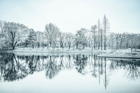 Beautiful winter landscape with lake and trees in the park. Toned.の写真素材
