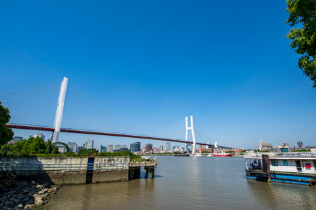 A view of the bridge in Rotterdam, the Netherlands.の写真素材