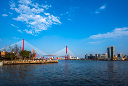View of the Erasmus Bridge in Rotterdam, Netherlands
