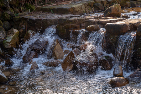 Small waterfall in the forest with rocks and stream in the background.