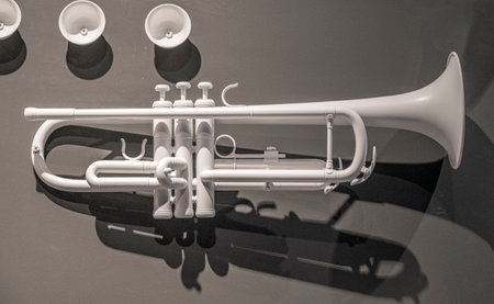 White trumpet on a black background, close-up. Musical instrument.
