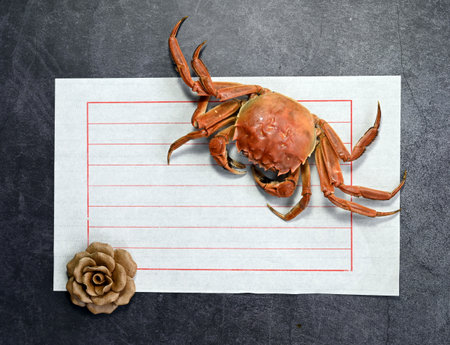 Crab on a blank sheet of paper on a dark background.の写真素材