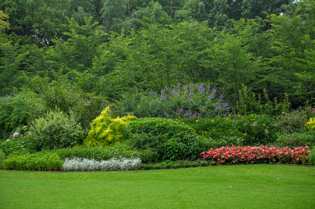 Beautiful landscaped garden with green grass and flowers in summer.の写真素材