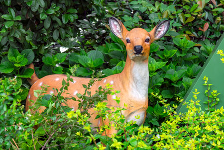 Deer in the garden at Doi Inthanon National Park, Chiang Mai, Thailandの写真素材