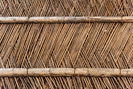 bamboo fence texture for background. Bamboo fence made of bamboo.