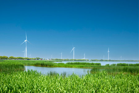Wind turbines on the shore of a lake under a clear blue sky