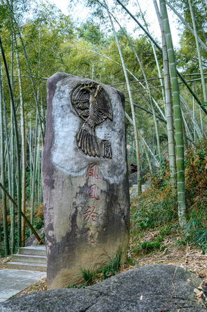 Bamboo grove at the entrance to Arashiyama, Kyoto, Japanの写真素材