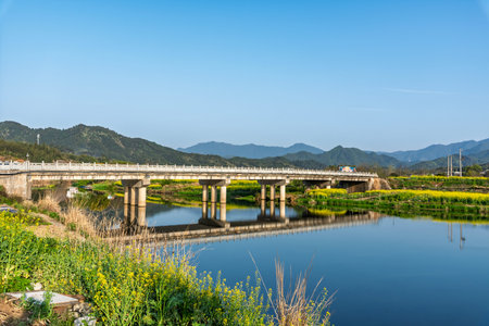 Landscape view of a bridge over a river with yellow flowers and blue skyの写真素材