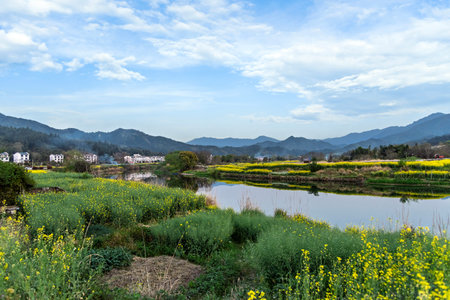 Scenery of Wuyuan County, Jiangxi Province, Chinaの写真素材