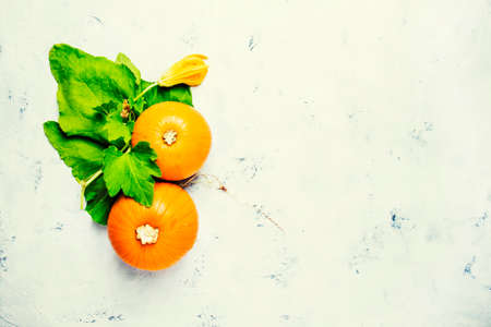 Autumn background with pumpkins and leaves, gray table, top view, space for textの写真素材