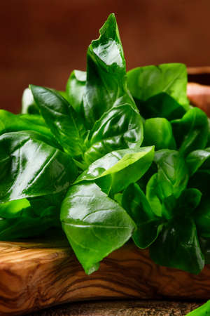 Green basil on a cutting board, rustic style, selective focusの写真素材