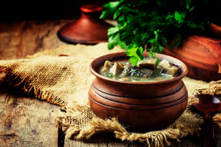 Mushroom soup in a clay pot, rustic style, selective focusの写真素材
