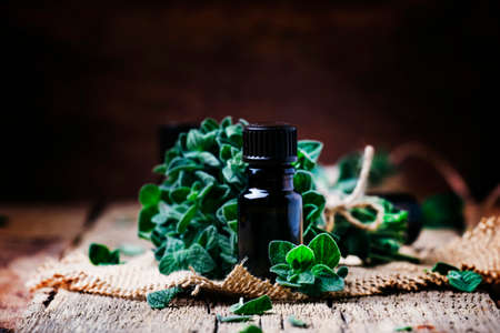 Organic essential oregano oil in a glass jar and a bunch of fresh marjoram, vintage wooden background, selective focusの写真素材
