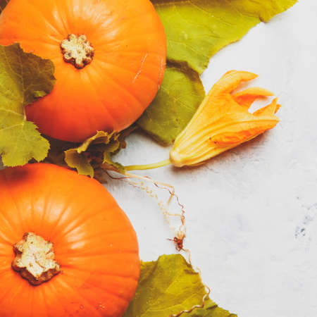 Autumn background with pumpkins and leaves, gray table, top view, space for textの写真素材