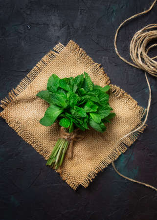 Fresh meadow mint in a beam, dark background, top viewの写真素材