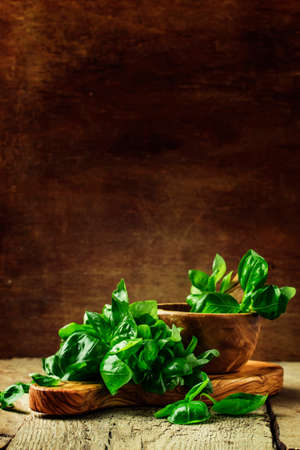 Green basil on a cutting board, rustic style, selective focusの写真素材