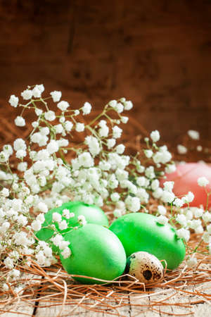 Green easter eggs on old wooden background with dry straws and white flowers, selective focusの写真素材