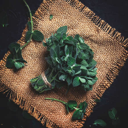Fresh green oregano or Origanum vulgare in a beam, brown background, top viewの写真素材
