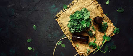 Essential oregano oil in a glass bottles and a bunch of fresh herbs, black background, top viewの写真素材