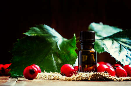 Essential oil of hawthorn, selective focusの写真素材