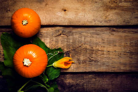 Autumn wooden background with pumpkins and leaves, top view. Toned image with copy space.