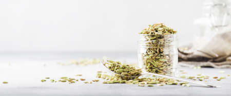 Fennel seeds in a glass jar and a metal spoon, gray kitchen table background, selective focusの写真素材