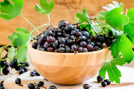 Black currant in bowl, vintage wooden background, selective focusの写真素材
